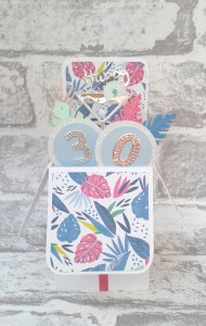 Paper Personalities 30th Birthday Card